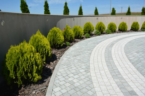 Best Driveway Paving Contractor  in Bellwood, VA